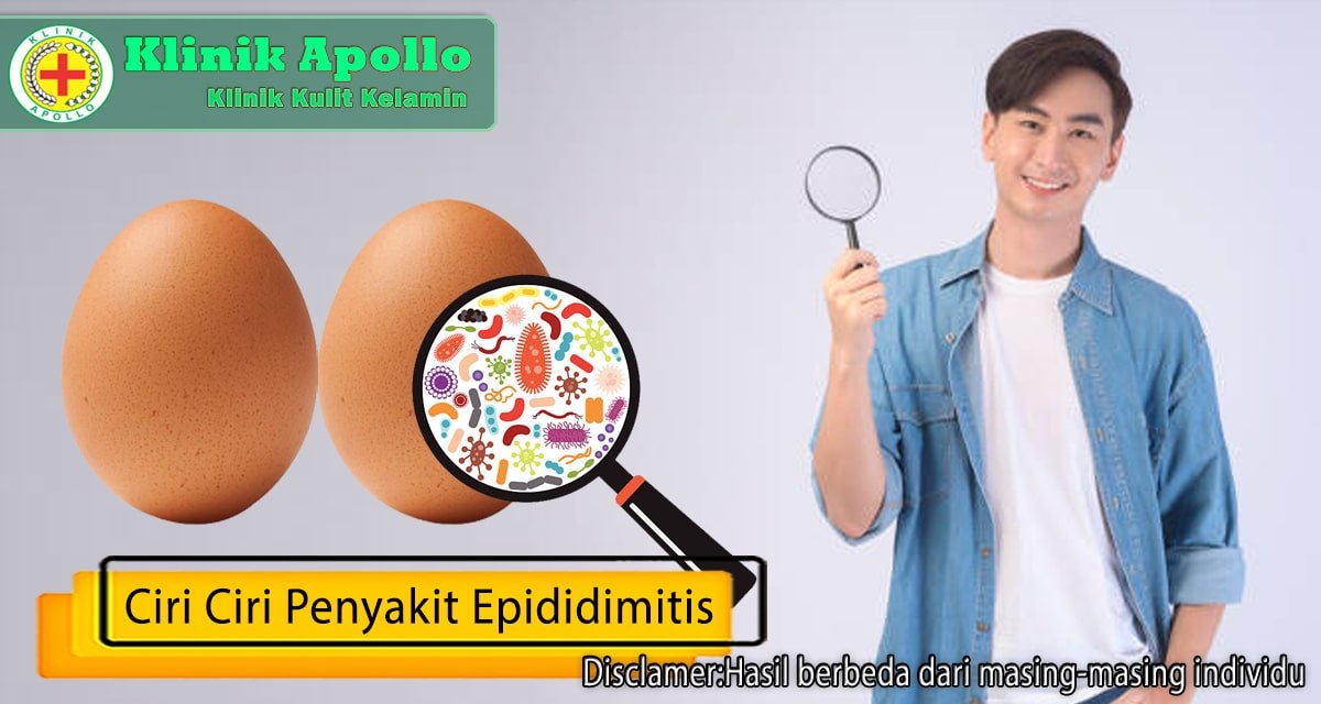 Ciri Ciri Penyakit Epididimitis Pada Pria Klinik Apollo Jakarta