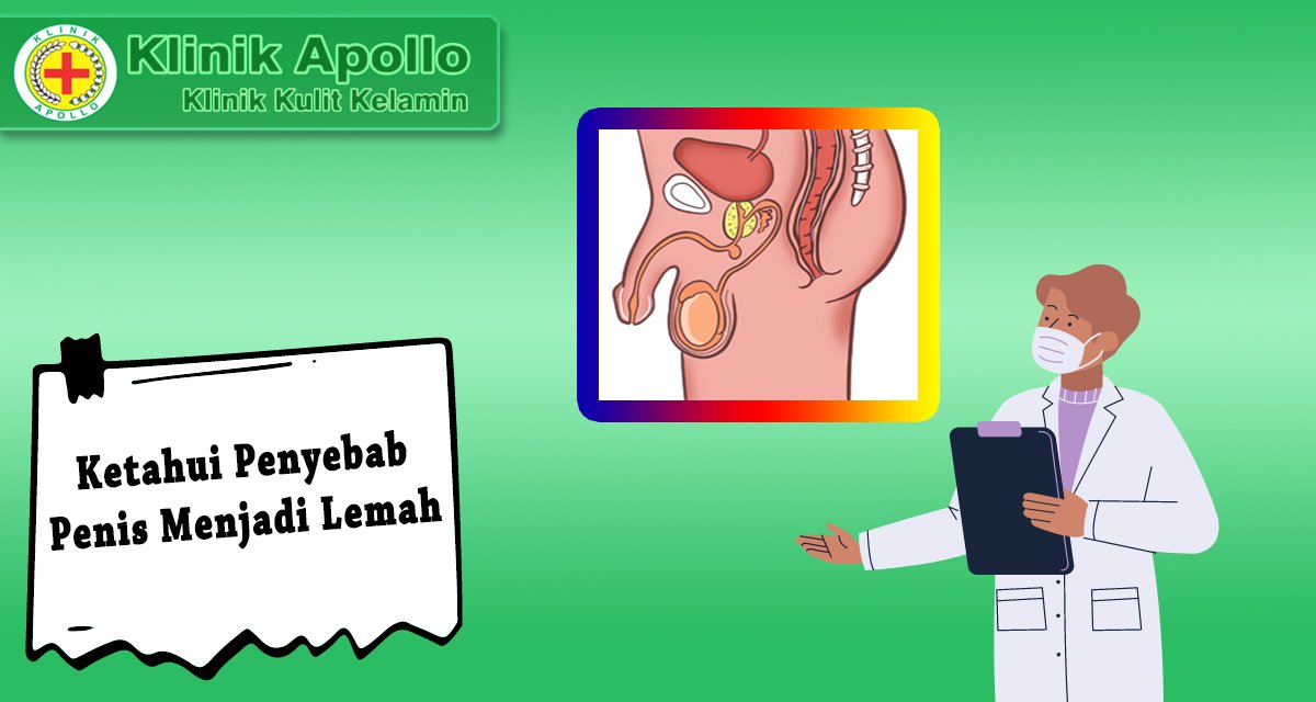 Ilustrasi Penyebab Penis Lemah Pada Pria