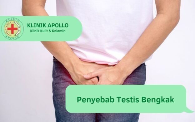 Testis Bengkak Ketahui Gejala Dan Penyebabnya