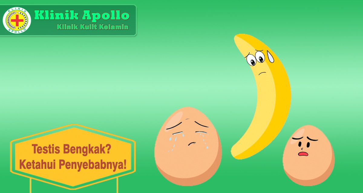 Testis Bengkak Ketahui Penyebabnya