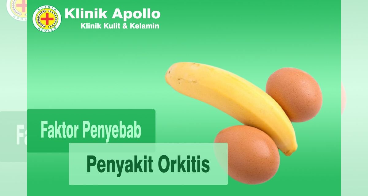 faktor penyebab penyakit orkitis