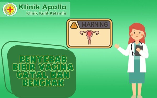 Faktor Penyebab Bibir Vagina Gatal Dan Bengkak Klinik Apollo Jakarta