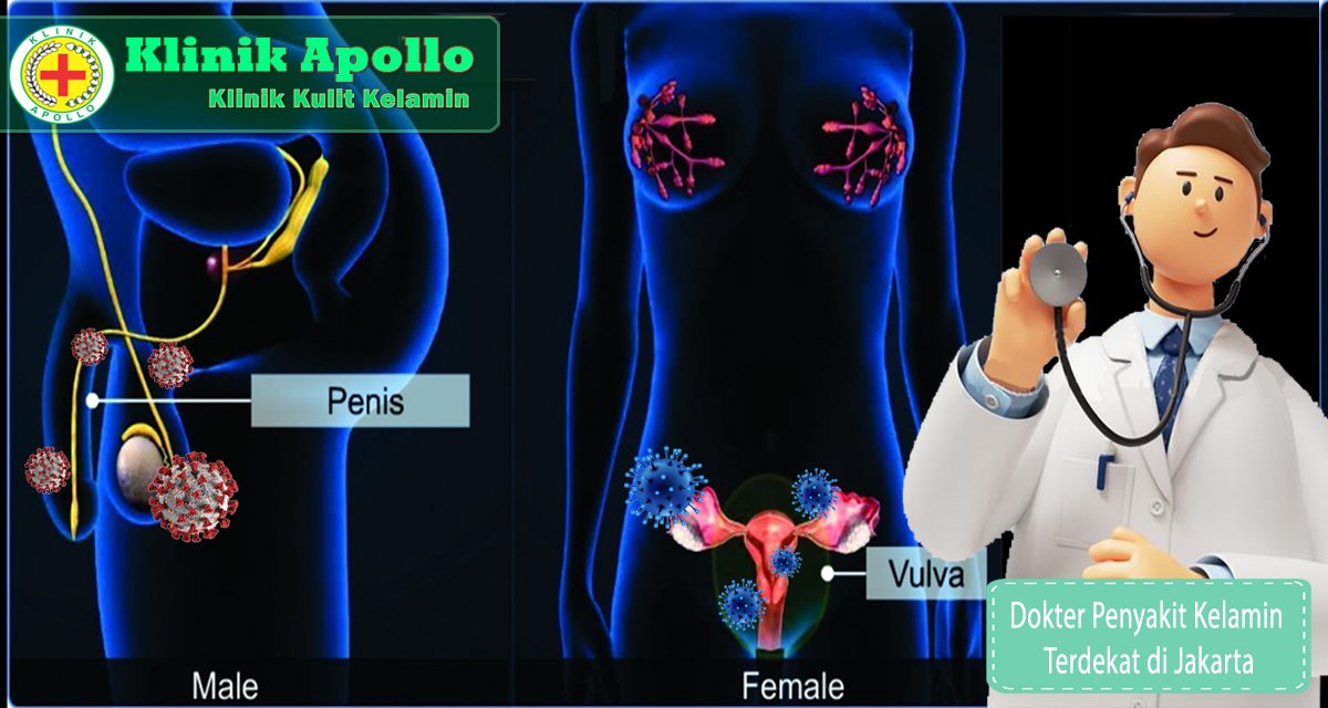 Dokter Penyakit Kelamin Terdekat