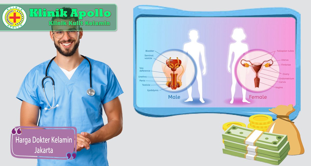 Mengenai harga dokter kelamin bisa dikonsultasikan dengan dokter di Klinik Apollo.