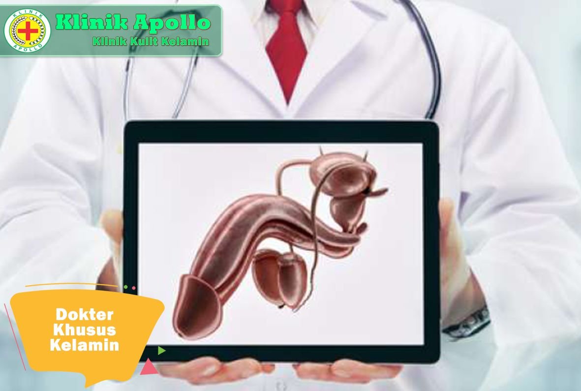 dokter khusus kelamin
