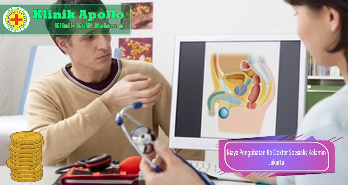biaya pengobatan ke dokter spesialis kelamin