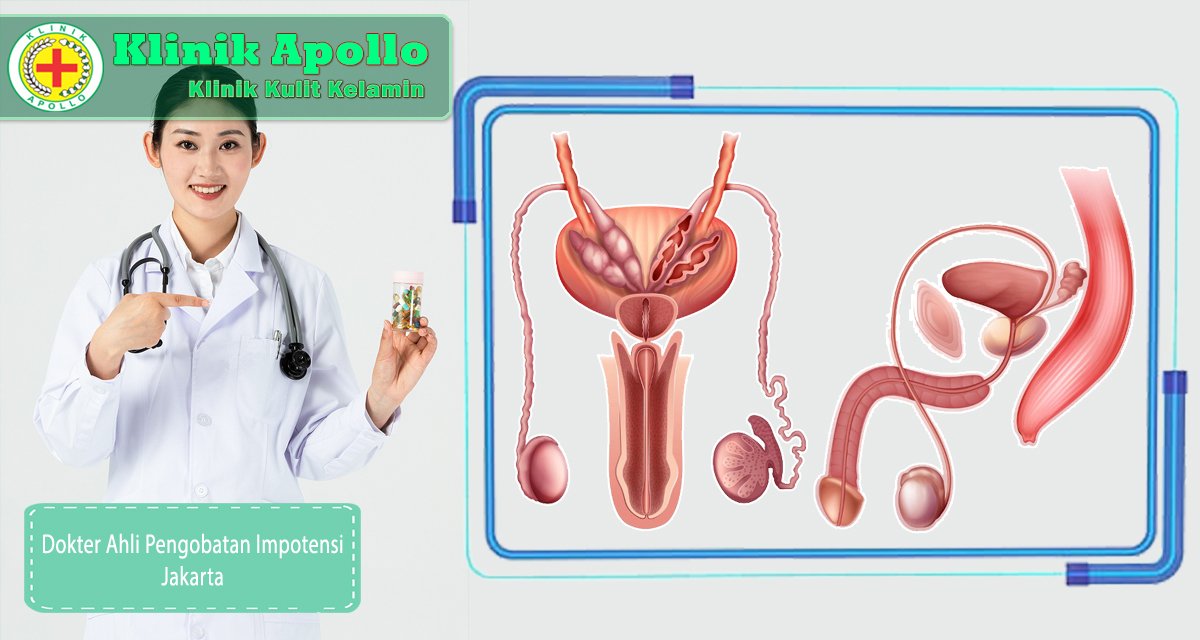 dokter ahli pengobatan impotensi