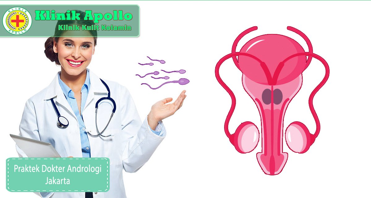 praktek dokter andrologi