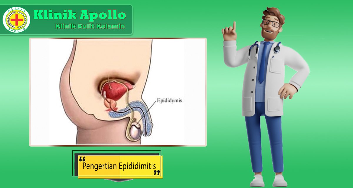 Pengertian Epididimitis