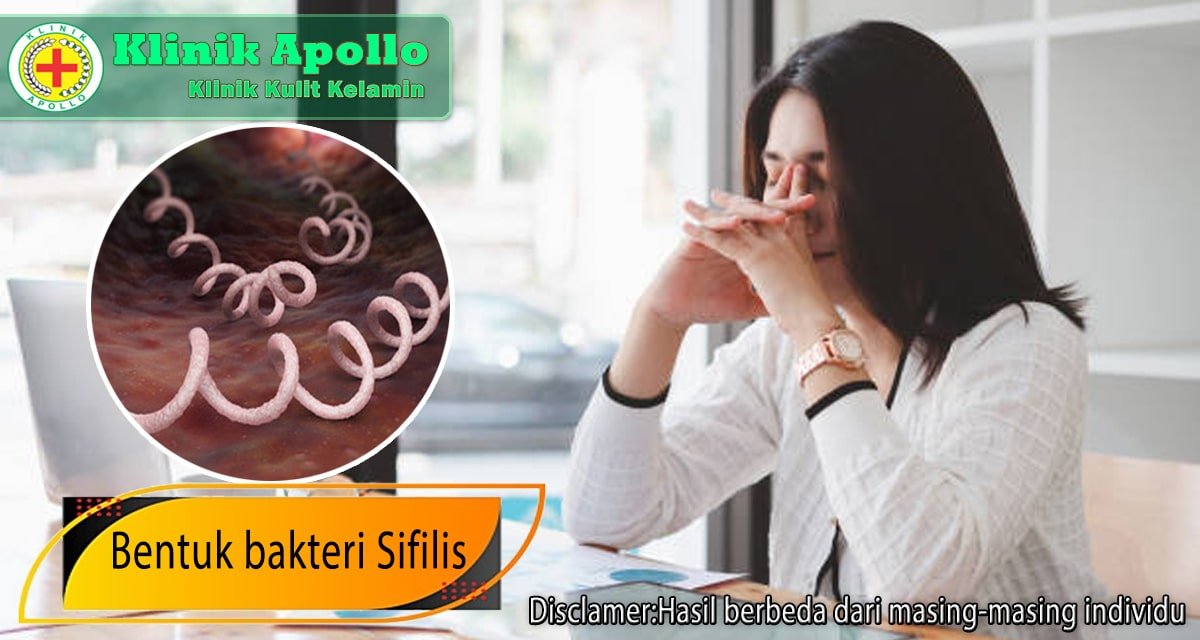 Bentuk Bakteri Sifilis dan Perkembangan Infeksi pada Wanita