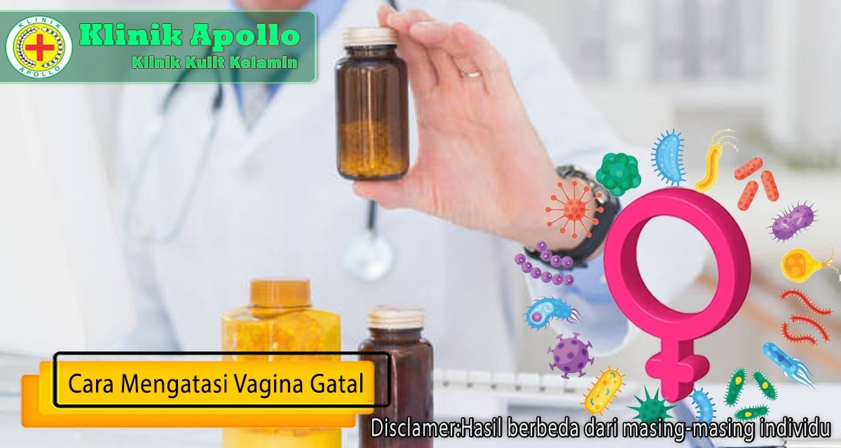 Cara Mengatasi Vagina Gatal Pada Wanita Klinik Apollo Jakarta 3929