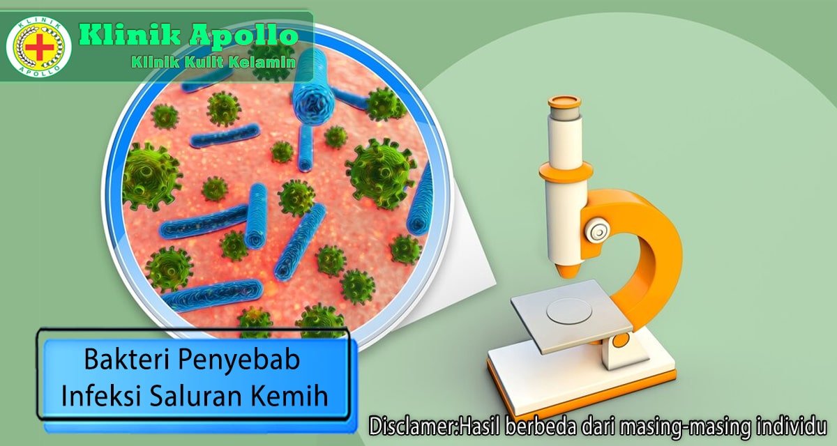 Cara Mendeteksi Bakteri Penyebab Infeksi Saluran Kemih