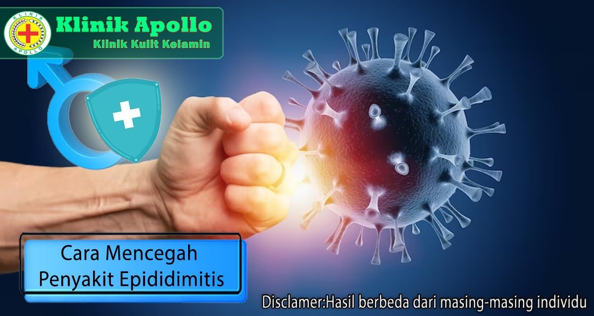 Ingin Mencegah Penyakit Epididimitis Praktikkan 5 Cara Ini Klinik Apollo Jakarta 