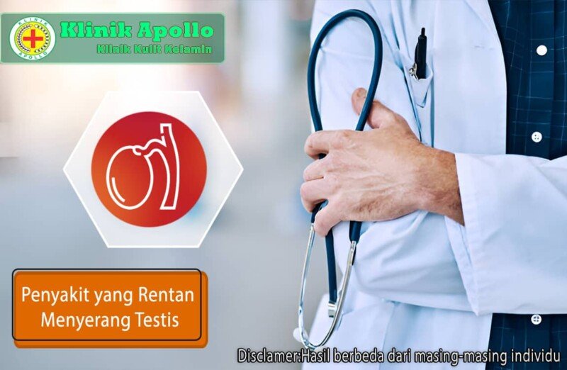 Penyakit Yang Menyerang Testis Dari Orchitis Hingga Hidrokel Klinik