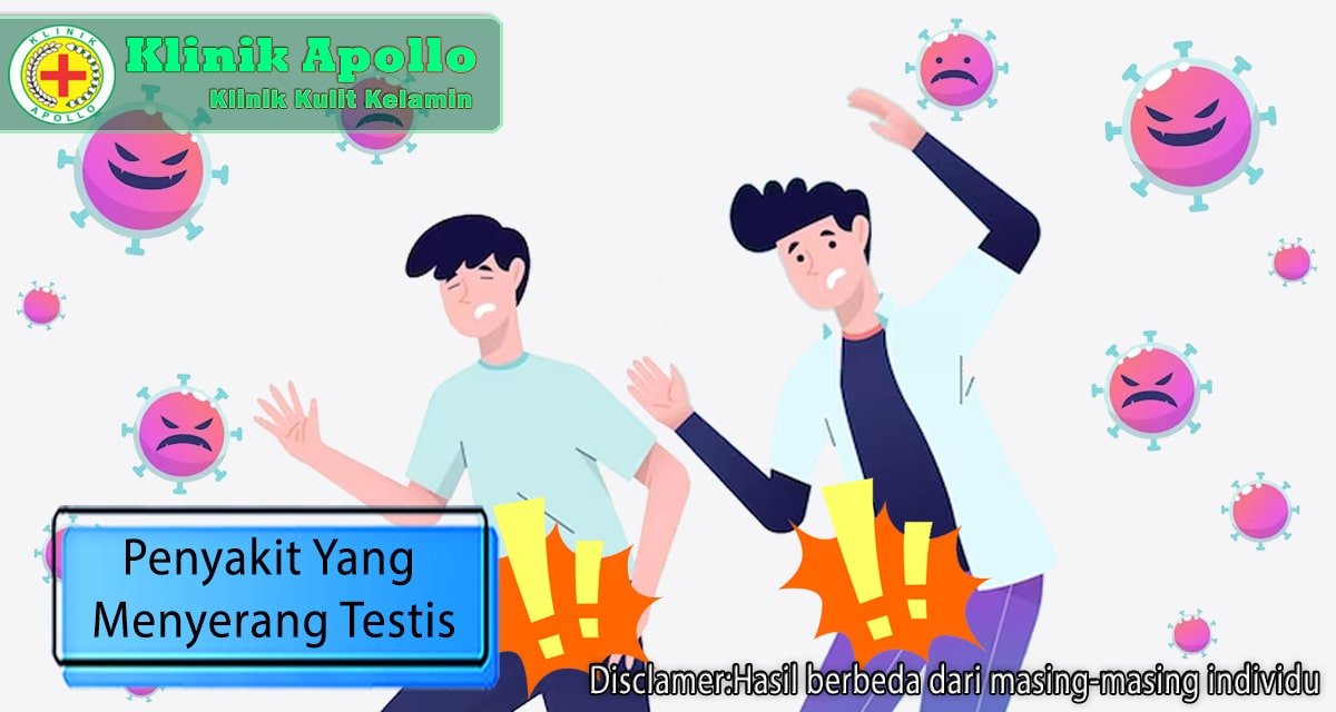 Penyakit Yang Menyerang Testis Dari Orchitis Hingga Hidrokel Klinik