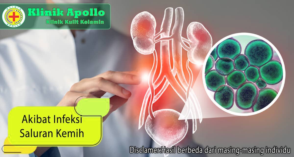 Ketahui Akibat Infeksi Saluran Kemih Isk Yang Tidak Diobati Klinik