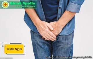 Ilustrasi Testis Ngilu.