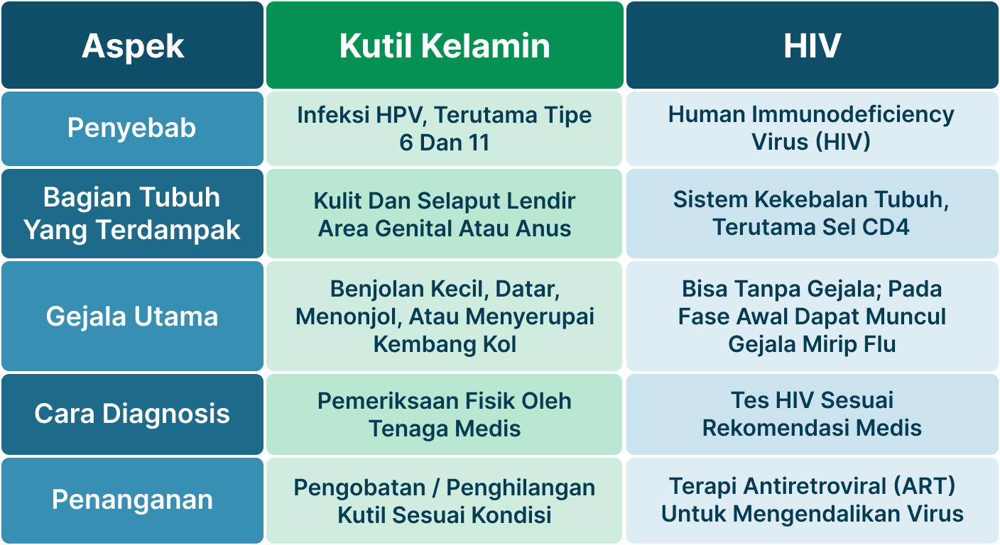 Ilustrasi Kutil Kelamin Apakah HIV.