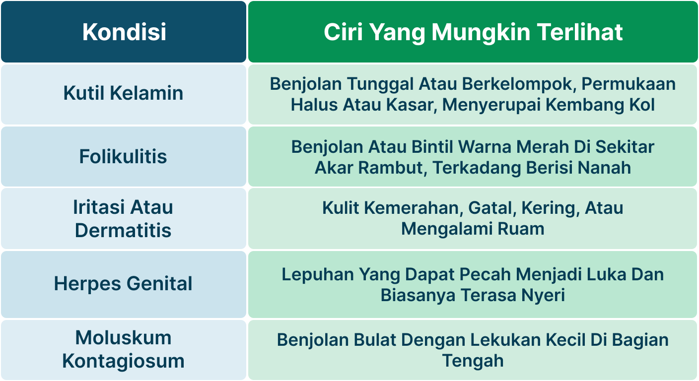 Ilustrasi Apakah Kutil Kelamin Gatal.